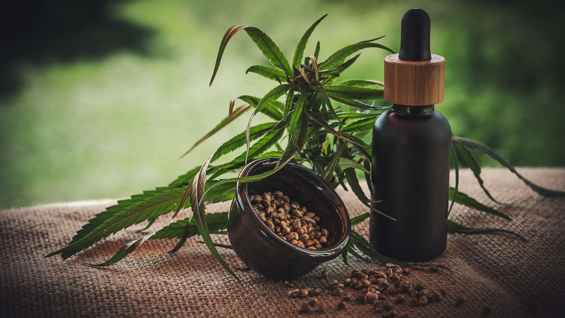 Huile de CBD et crème chauffante CBD : les tendances du marché et les innovations