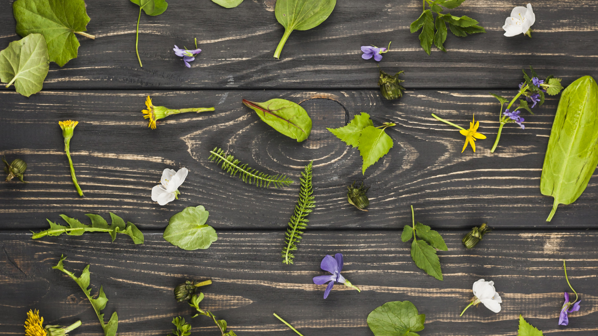 Comment intégrer les plantes médicinales dans son quotidien ?